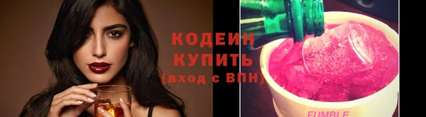 дмт Нягань