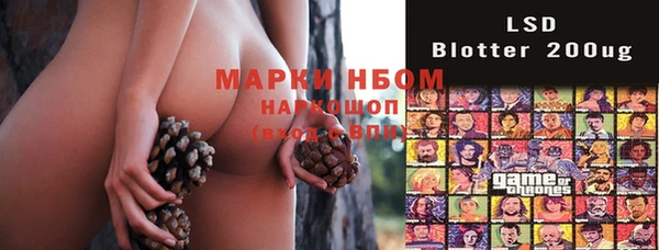 дмт Нягань