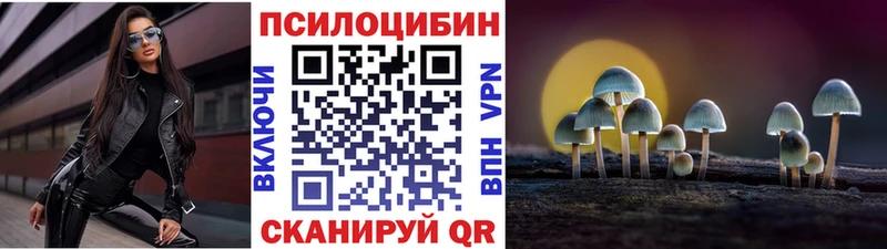 купить наркотик  Тосно  KRAKEN сайт  Галлюциногенные грибы MAGIC MUSHROOMS 