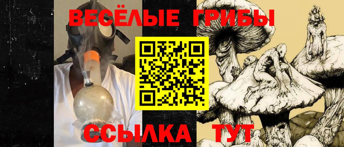 Псилоцибиновые грибы MAGIC MUSHROOMS  Тосно  Галлюциногенные грибы прущие грибы 